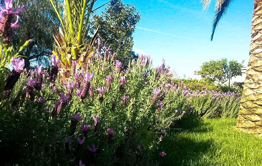 Agriturismo Masseria Calongo ชิสแตร์นีโน ภายนอก รูปภาพ
