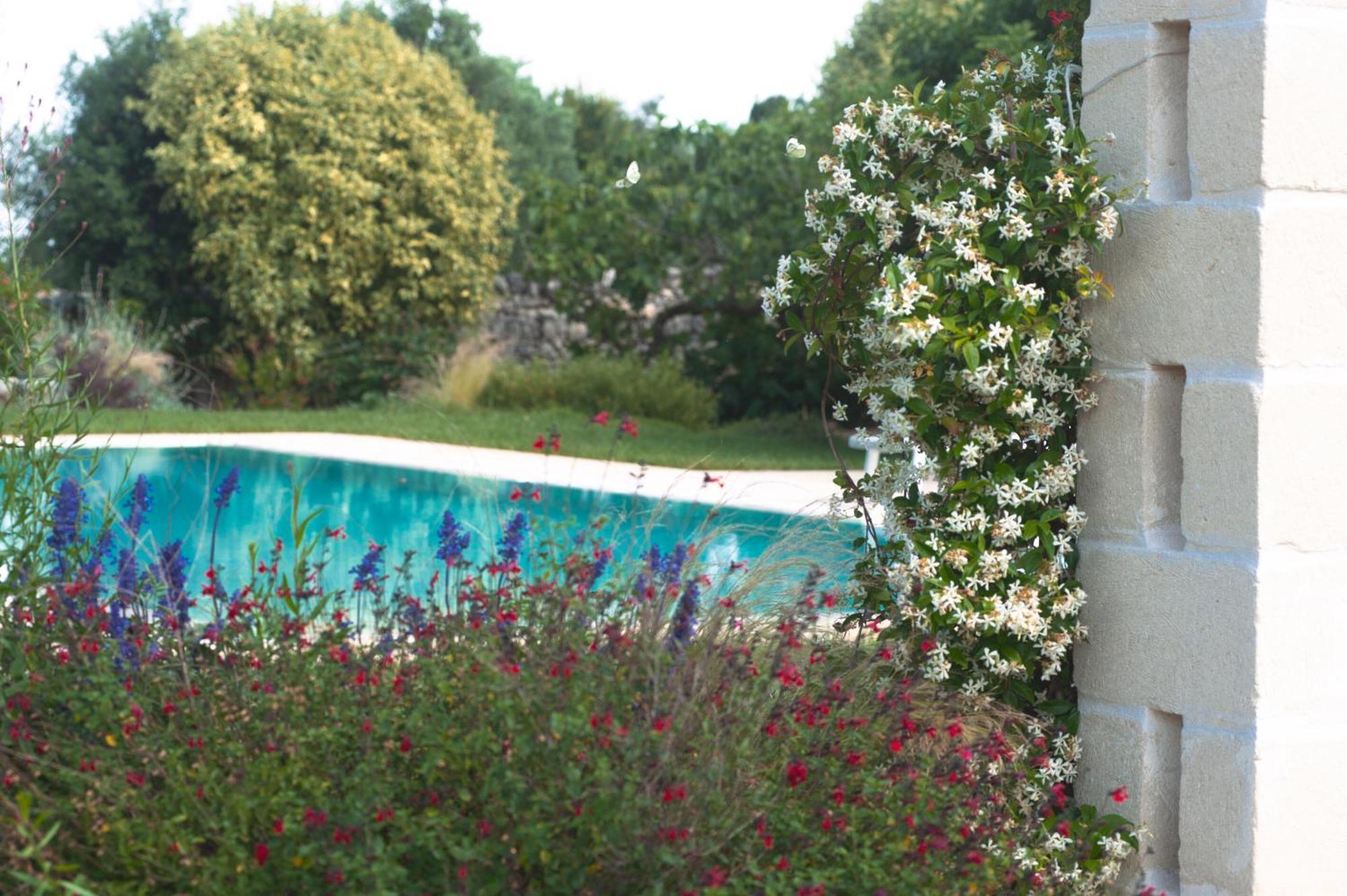 Agriturismo Masseria Calongo ชิสแตร์นีโน ภายนอก รูปภาพ