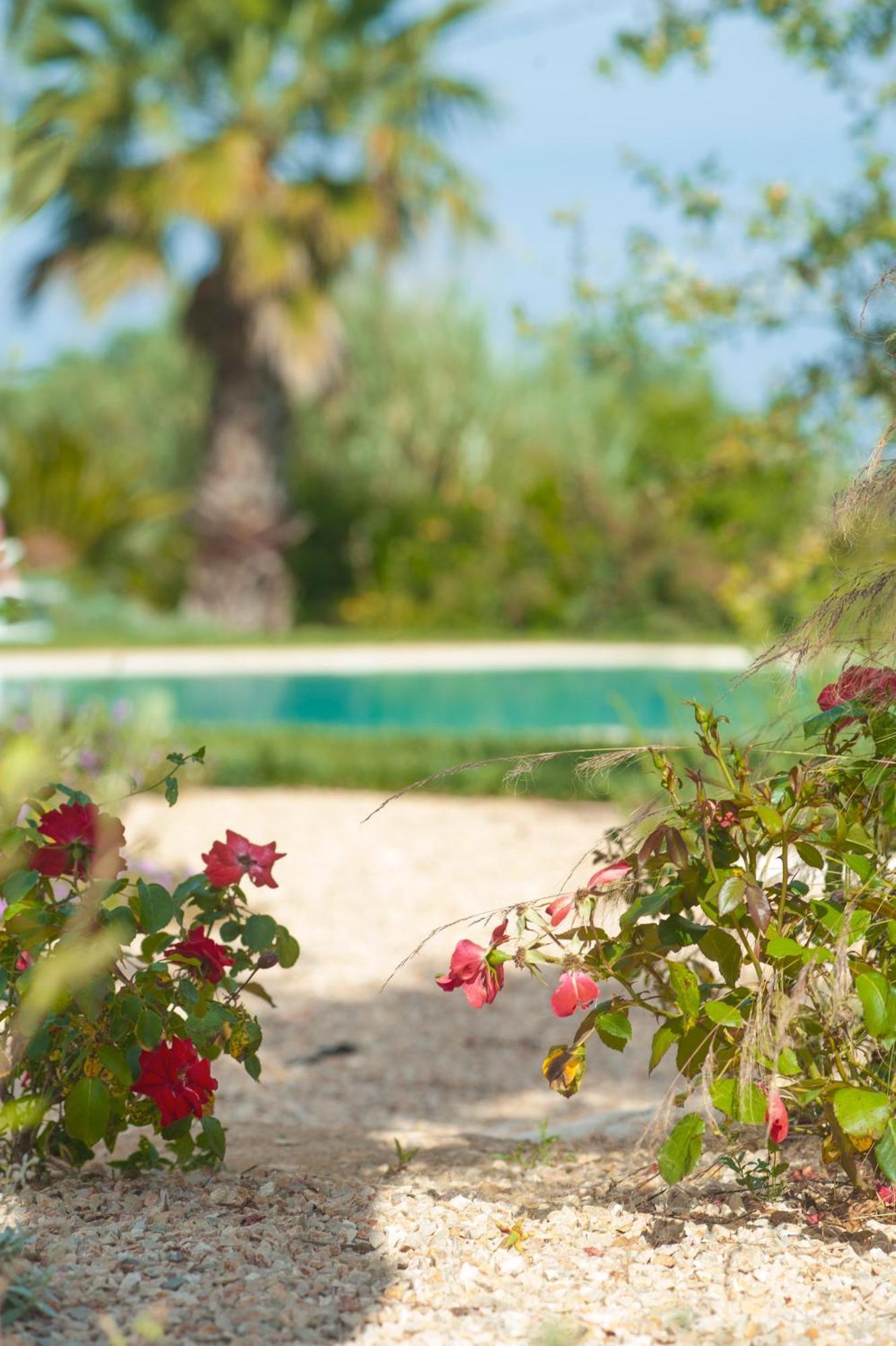 Agriturismo Masseria Calongo ชิสแตร์นีโน ภายนอก รูปภาพ