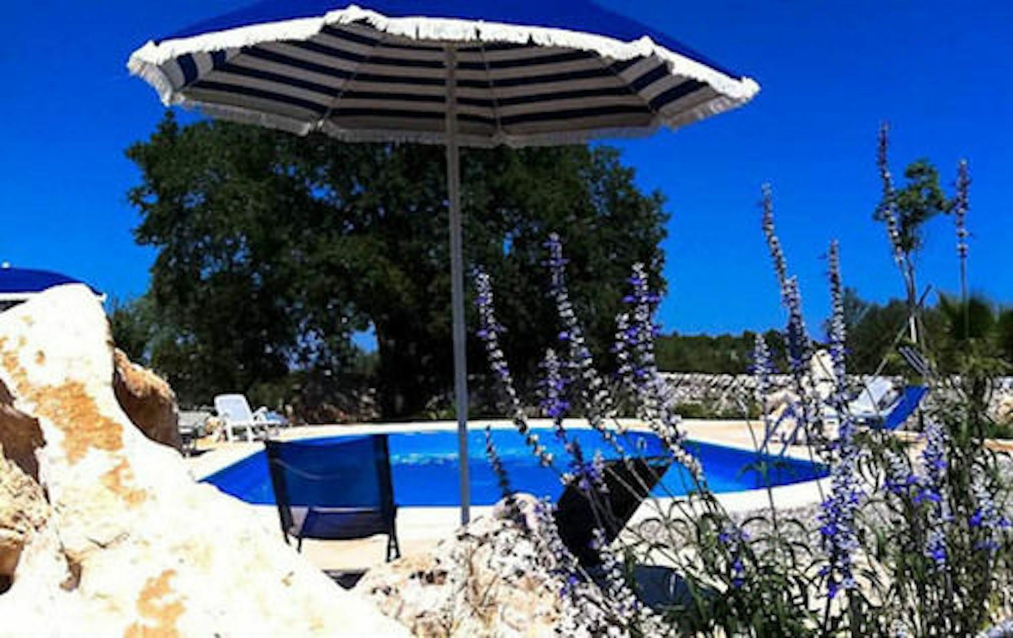 Agriturismo Masseria Calongo ชิสแตร์นีโน ภายนอก รูปภาพ