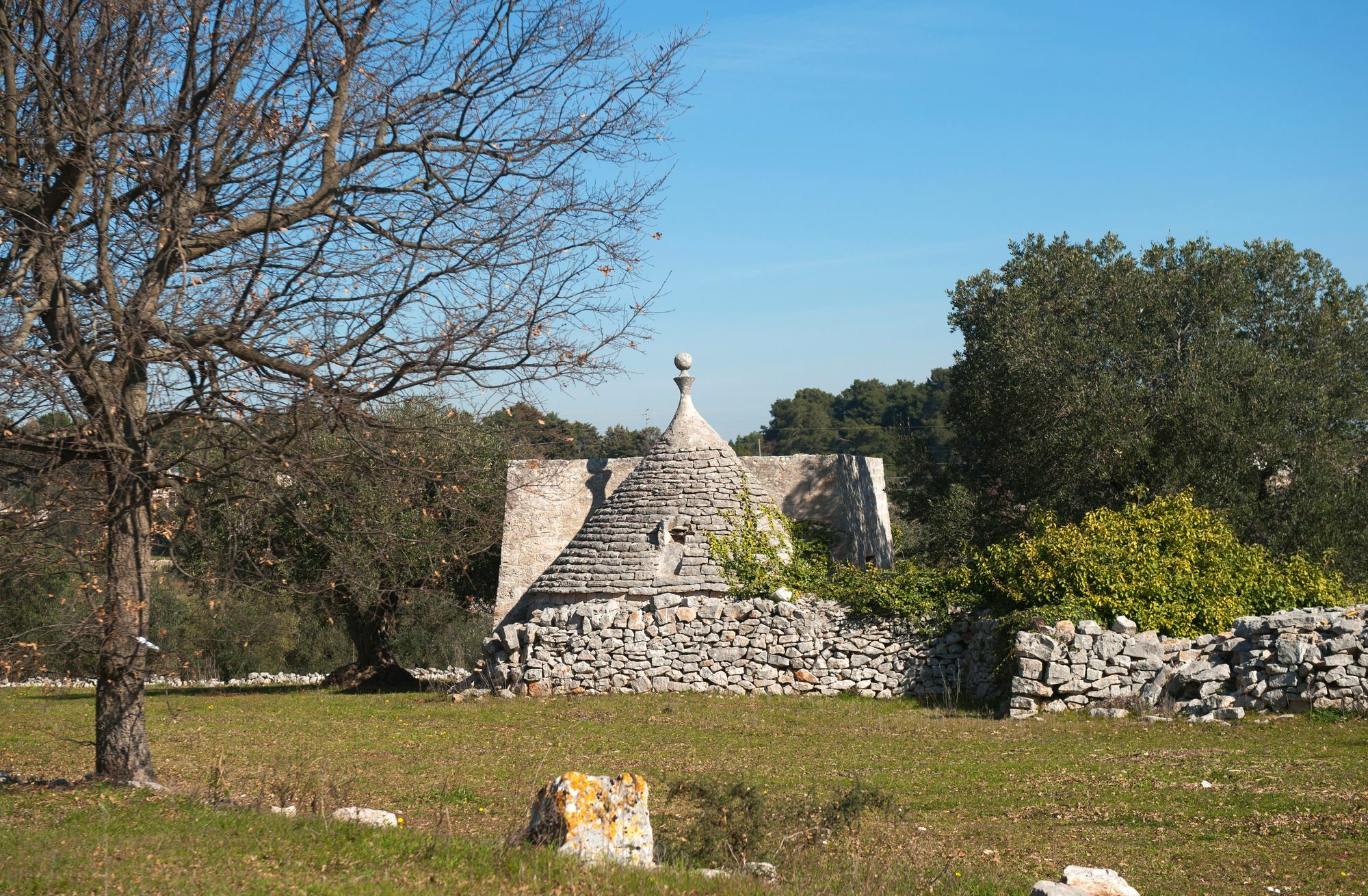 Agriturismo Masseria Calongo ชิสแตร์นีโน ภายนอก รูปภาพ